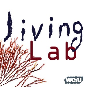 LivingLab